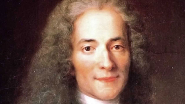Voltaire Picture